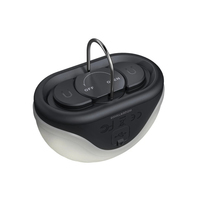 Фонарь кемпинговый Fenix CL20R Pro черный CL20RPROblk